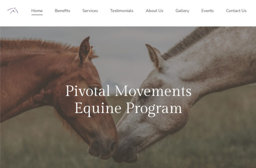 Pivotal Movements MC project